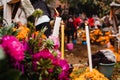 Dia de los Muertos Mexico, cempasuchil flowers for day of the dead, Mexico cemetery Royalty Free Stock Photo