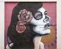 Dia de los Muertos mural by Chee in an alley by the building of Living Arts of Tulsa, Oklahoma. Royalty Free Stock Photo