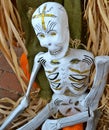 Dia de Los Muertos Skeleton Royalty Free Stock Photo