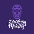 Dia De Los Muertos translated from Spanish Day of the Dead handwritten phrase. Vector illustration of colored skull.