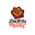 Dia De Los Muertos translated from Spanish Day of the Dead handwritten phrase. Vector illustration of rose flower.