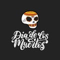 Dia De Los Muertos translated from Spanish Day of the Dead handwritten phrase. Vector illustration of colored skull.