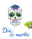 Dia de muertos, mexican holiday, colored skul