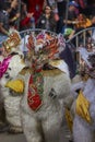 Dancing bear at the Oruro Carnival, Bolivia