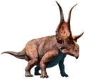 Diabloceratops 3D illustration Royalty Free Stock Photo