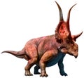 Diabloceratops 3D illustration