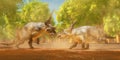 Diabloceratops Dinosaur Fight Royalty Free Stock Photo