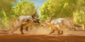 Diabloceratops Dinosaur Fight