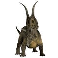 Diabloceratops Dinosaur Horns