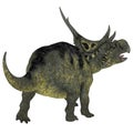 Diabloceratops Dinosaur Tail Royalty Free Stock Photo