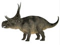 Diabloceratops over White Royalty Free Stock Photo