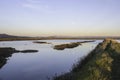 Diaccia Botrona natural reserve landscapes Royalty Free Stock Photo