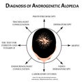 Diagnosis of alopecia. Bald spot, baldness, Alopecia mesotherapy. Infographics. Vector illustration on isolated Royalty Free Stock Photo