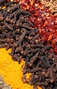Diagonal abstract curry spices Royalty Free Stock Photo
