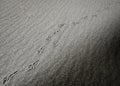 Diagonal black and white sand footprints Royalty Free Stock Photo