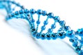 Diagonal Blue DNA Helix on White background Royalty Free Stock Photo