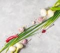 Diagonal composition of onions, garlic, red pepper and various s Royalty Free Stock Photo