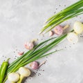 Diagonal composition of onions, garlic and various spices Royalty Free Stock Photo