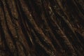 Diagonal grungy hard bark wood texture perfect for textured backdrop background that may be used for copy space or other Royalty Free Stock Photo