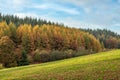 Diagonal Landscape of Meadow, Trees and Sky