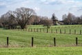 Diagonal lines in green agriculture fields and meadows around, Asse, Belgium