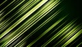Diagonal lines structure. Abstract colored geometric shapes. Computer generated loop animation. Geometric pattern Royalty Free Stock Photo