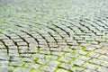 Diagonal medieval Norway pavement with summer grass background