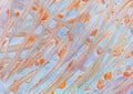 Diagonal orange messy lines and spots of paint on pastel blue background Royalty Free Stock Photo