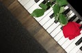 Romantic Isolated Red Rose on Piano Keyboard, Floor, and Rug Pattern Background Composed Diagonally. Royalty Free Stock Photo