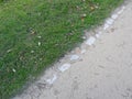 Diagonal row of boundary stones separates a meadow from a path.