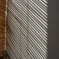 The scene suggests sunlight streaming through the blinds, highlighting Royalty Free Stock Photo