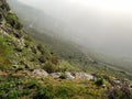 diagonal shot of beautiful landscape in Niha , the lebanese village with green grass and trees and bright blue magical sky