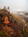 Diagonal stony steep slope and forest in dense fog Royalty Free Stock Photo