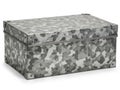 Metal Storage Box with Camouflage Pattern Isolated on White Background Royalty Free Stock Photo
