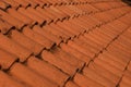 Diagonal Textural Roof Pattern with few of moss.