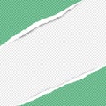 Diagonal torn green squared paper strips for text or message are on white background. Vector illustration