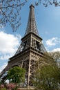 Diagonal view of the Eiffel Tower in spring