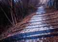 Diagonal winter path at park background Royalty Free Stock Photo