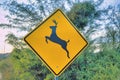 Diagonal yellow deer crossing sign warning at Tucson, Arizona
