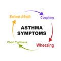 Diagram of Asthma Symptoms with keywords. EPS 10 - isolated on white background