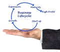 Diagram of Business lifecycle Royalty Free Stock Photo