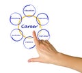 Diagram of career success