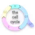 Diagram of the Cell Cycle Royalty Free Stock Photo