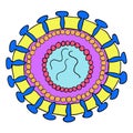 Diagram of Corona virus particle structure