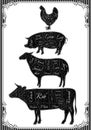 Diagram cut carcasses of chicken, pig, cow, lamb Royalty Free Stock Photo
