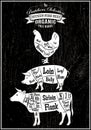 Diagram cut carcasses of chicken, pig, cow Royalty Free Stock Photo