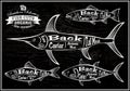 Diagram cut carcasses salmon, swordfish, herring, tuna