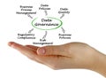 Diagram of Data Governance Royalty Free Stock Photo