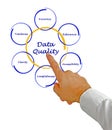 Diagram of data quality Royalty Free Stock Photo