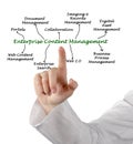 Diagram of Enterprise Content Management Royalty Free Stock Photo